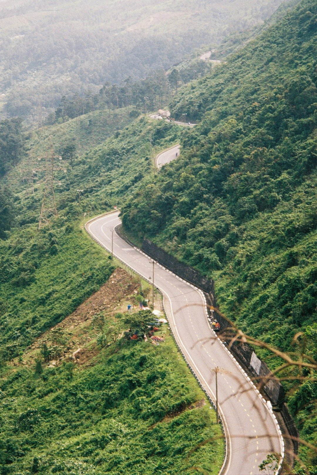 Mountainous Landforms Vegetation