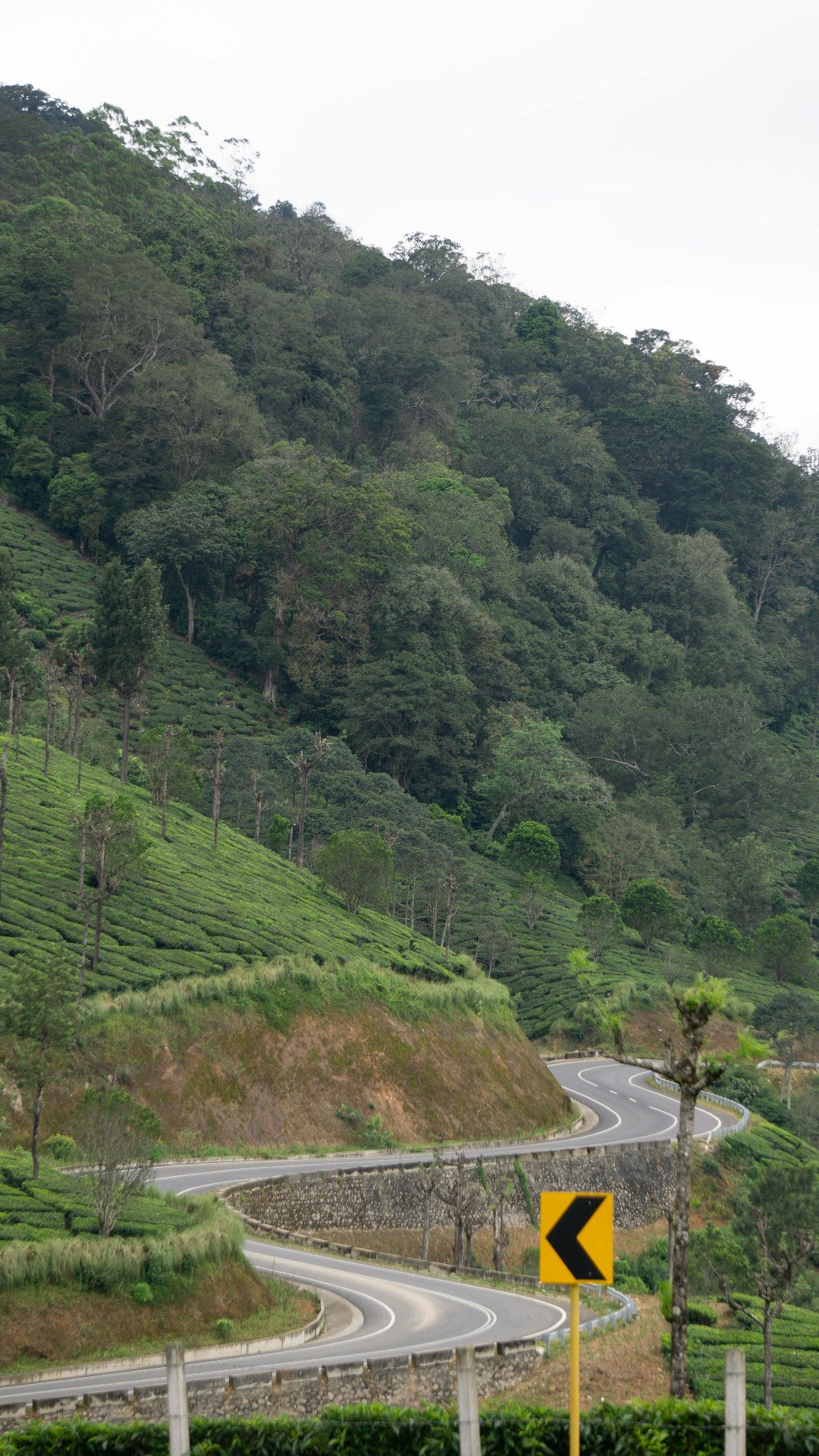 Green Mountainous Landforms
