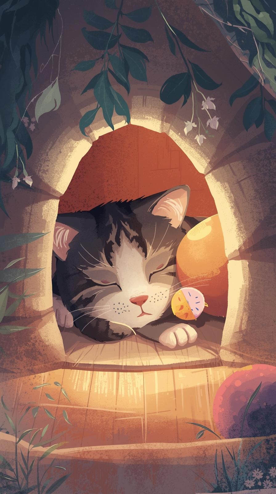 Sleeping Cat In House Wallpaper
