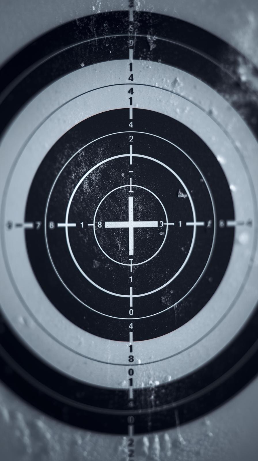 Biathlon Target Focus