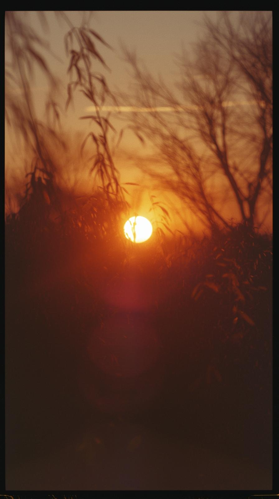 Vintage Film Grain Over Warm Sunset Hues