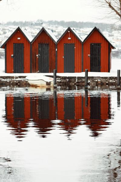 Brown Wood Reflection