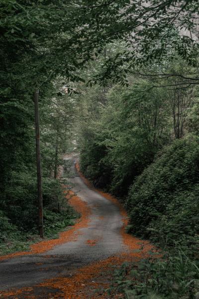 Leaf Natural Environment