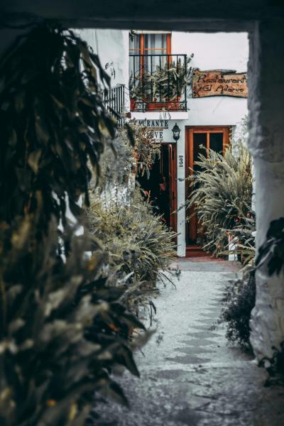 Houseplant Flowerpot