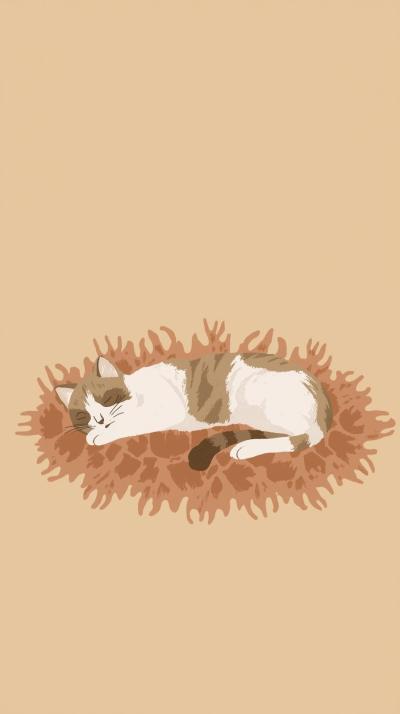Sleeping Cat In House Wallpaper
