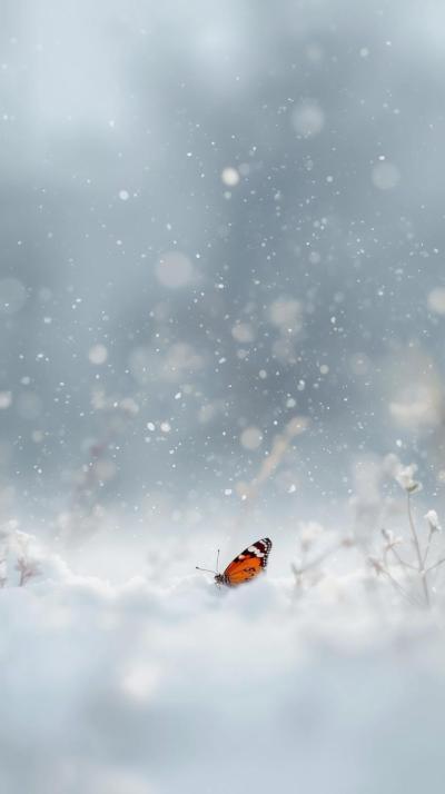 Re Zero Butterfly Snow Rewind