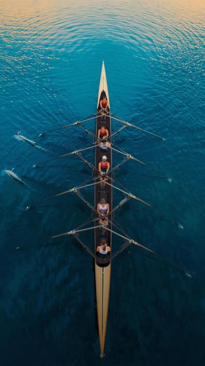 Rowing Eight Boat Harmony