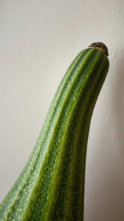 Squash Wall Boast Angle