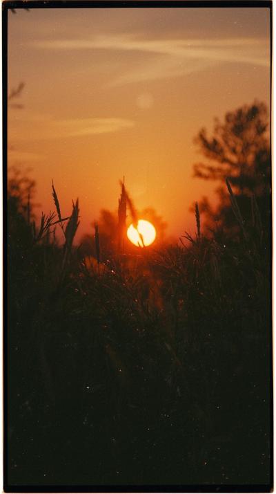 Vintage Film Grain Over Warm Sunset Hues